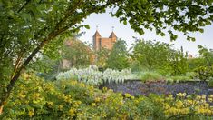 the castle is surrounded by trees and flowers in the foreground, with yellow wildflowers on the other side