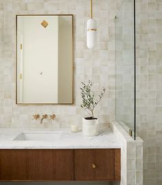 a bathroom with a sink, mirror and plants on the counter