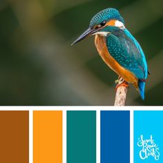 a colorful bird sitting on top of a branch with color swatches in the background