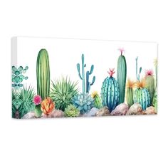 a painting of cactus and succulents on a white background