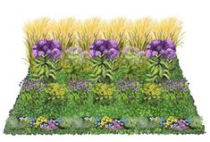 an illustration of a garden with flowers and plants growing in it's borders, including grass