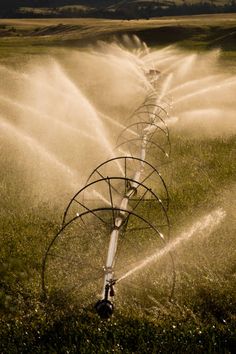 a sprinkler spraying water onto a field