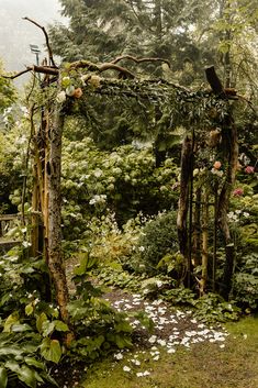 an outdoor garden with lots of trees and flowers on the ground, surrounded by greenery