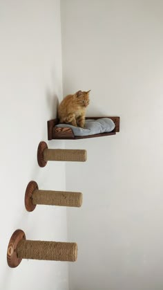 an orange cat sitting on top of a wooden shelf next to three cats scratching pads