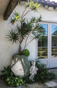 a large potted plant in front of a white building with two statues next to it