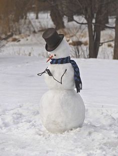 a snowman wearing a hat and scarf standing in the snow with trees in the background