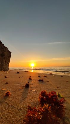 the sun is setting at the beach with rocks in the foreground and seaweed on the sand