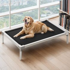 a dog laying on top of a pet bed in front of a window with bookshelves