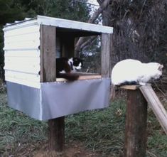 two cats sitting on top of a wooden structure in the grass next to a tree