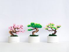 three small bonsai trees sitting on top of each other