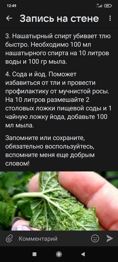 a hand holding some green leaves in it's left hand, with the words russian on