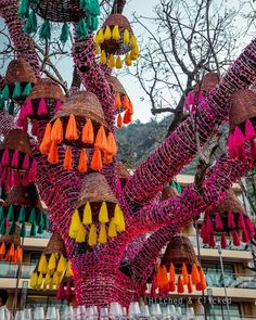 many different colored tassels hanging from a tree in front of a large building