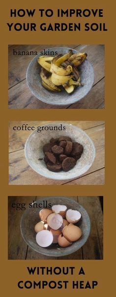 an image of how to improve your garden soil with coffee grounds and composts