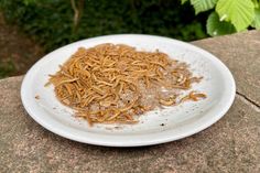 a white plate topped with lots of food on top of a cement slab next to trees