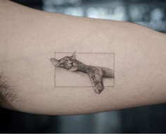 a black and white photo of a cat on someone's arm with the image of a sleeping cat