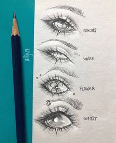 pencil drawing of different types of eyes