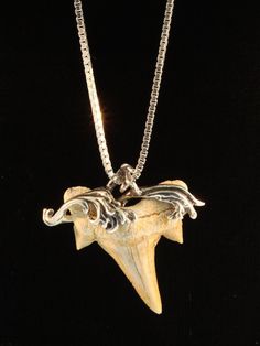 Alisha's newest fossil design incorporates fluid cresting waves with fossilized Otodus Shark Teeth from Morocco. The design has been eons in coming to fruition although not as long as the shark teeth are old! Otodus sharks lived from the Paleocene (66 million years ago) to the Miocene (5million years ago.) Sharks in general have many rows of teeth and as front rows are shed, back rows move forward. Otodus shark teeth are plentiful but finding perfect specimens is difficult. The teeth of this sha Back Rows, Shark Jewelry, Shark Tooth Pendant, Magic Charms, Wave Jewelry, Tooth Pendant, Shark Tooth Necklace, Wave Necklace, Jewelry Board