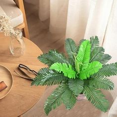 a small potted plant sitting on top of a wooden table next to a plate