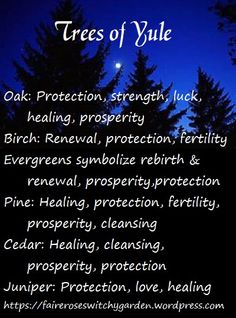 trees of yule - oak protection, strength, luck, healing, prosperity