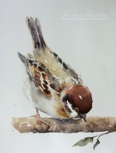 a watercolor painting of a bird sitting on a branch