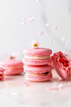 pink macaroons with petals falling from them