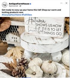 an image of some white pumpkins and pine cones on a table with a sign that says autumn shows us how beautiful it is to let things go