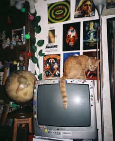 an orange tabby cat sitting on top of a tv in a room with posters