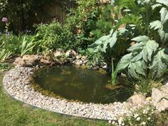 a small pond in the middle of a garden with rocks, plants and gravel around it