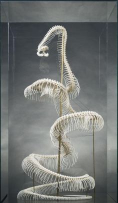 a white sculpture in a glass case on top of a wooden stand with metal rods