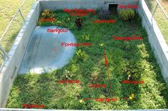 an outdoor garden with various parts labeled