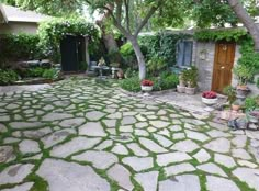 a stone patio with green grass and potted plants in the back yard, surrounded by trees