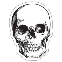 a black and white drawing of a skull with the lower half cut out to look like it