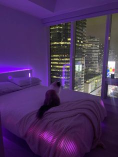 a cat sitting on the edge of a bed in a room with purple lighting and cityscape