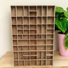 a plant in a pink pot next to a wooden shelf with compartments for books and magazines