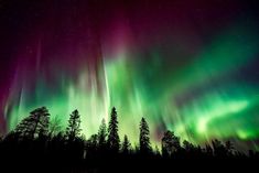 an aurora bore is seen in the sky above some trees