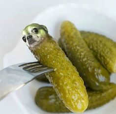 a close up of a plate of pickles with a fork stuck in it and a sloth on the side