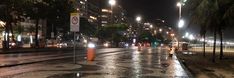 a wet city street at night with palm trees