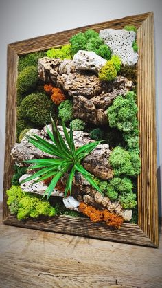 a wooden frame with moss, rocks and plants in it on top of a table