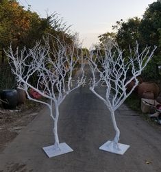 two white trees are standing in the middle of an empty road with trash cans and other items