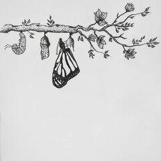 a black and white drawing of a tree branch with two butterflies hanging from it