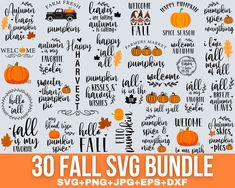 30 fall svg bundle with pumpkins and leaves