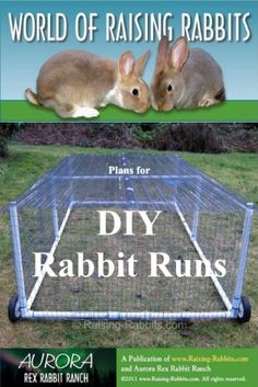 two rabbits sitting next to each other in front of a sign that says world of raising rabbits