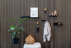 there is a coat rack on the wall next to a chair and potted plant