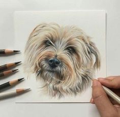 a drawing of a dog with colored pencils next to it