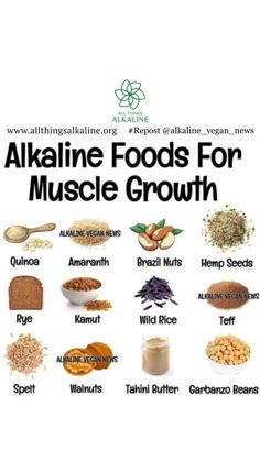 Power up your muscle growth with this list of alkaline foodspacked with essential nutrients and benefits allthingsalkaline drsebi maa alkalinemealprep alkalineapparel alkaline alkalineapproved alkalineeating alkalineproduct drsebi MuscleGrowth NutritionForStrength HealthyEating FitnessFuel MuscleBuildingFoods PlantBasedPower Alkaline Protein Shake, Akline Diet Alkaline Foods, Alkaline Juice Recipes Dr Sebi, Alkaline Meal Prep, Alkaline Juice Recipes, Alkaline Meal Plan, Dr Sebi Food List, Alkaline Juice, Alkaline Diet For Beginners