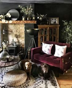 a living room filled with furniture and a dog laying on the floor next to it