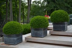 three large planters sitting on top of wooden steps