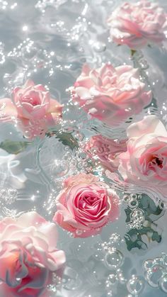 pink roses floating in water with bubbles