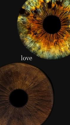 two different colored irises with the same color as each eye, one in brown and one in yellow