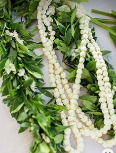 some white beads and green leaves on a table